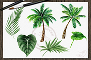 Hawaii Watercolor Illustration, a Decorative Illustration by DioFlow (Thumbnail 4 of 6)