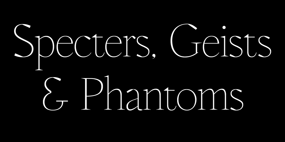 WT Solaire, a Serif Font by Wraith Types (Photo 6 of 8)