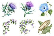 Watercolor Vintage Botanical Clipart, a Seasonal Illustration by CitraGraphics (Thumbnail 2 of 9)