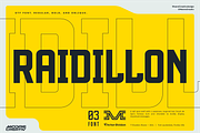 BM Raidillon, a Sans Serif Font by Brandon Moore (Thumbnail 1 of 3)