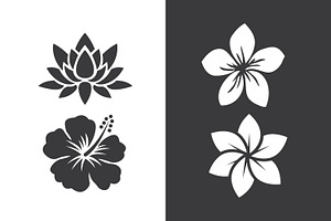 Black and white flower illustration, an Illustration by Toufiqul