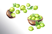 Amber Gooseberry. Watercolor set, a Food Illustration by Daria Ustiugova (Thumbnail 11 of 23)