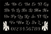 Dh Finola - 7 Elegant Serif Fonts, a Serif Font by Dharmas Foundry (Thumbnail 6 of 14)