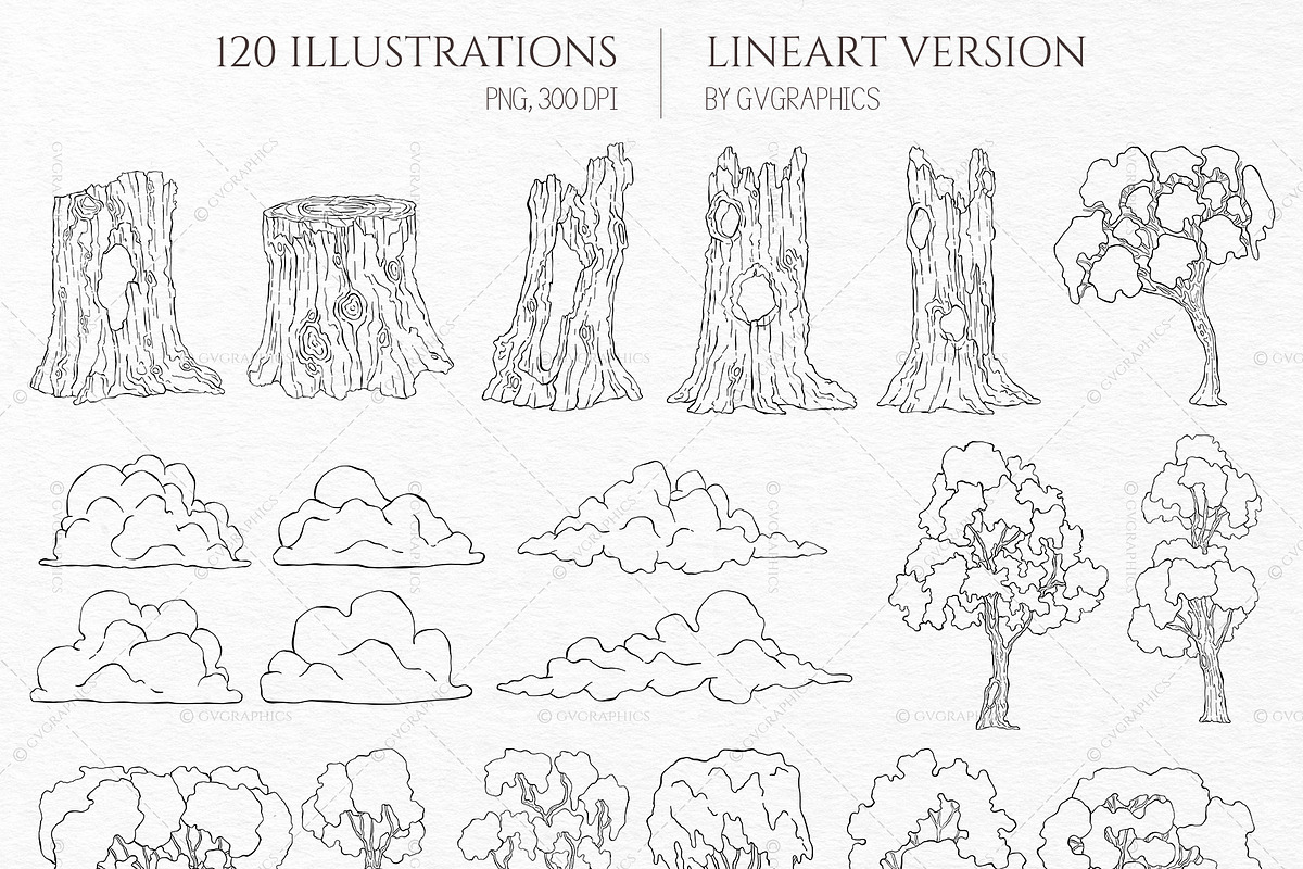 Into the Wild Collection, an Animal Illustration by GVGraphics (Photo 6 of 24)