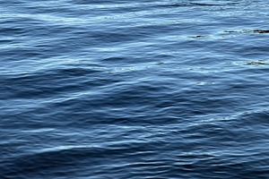 Calm blue water surface with gentle waves, a Nature Photo by Textures & Backgrounds