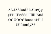 Roscia Sylvia Elegant Serif Font, a Serif Font by UICreative (Thumbnail 3 of 13)