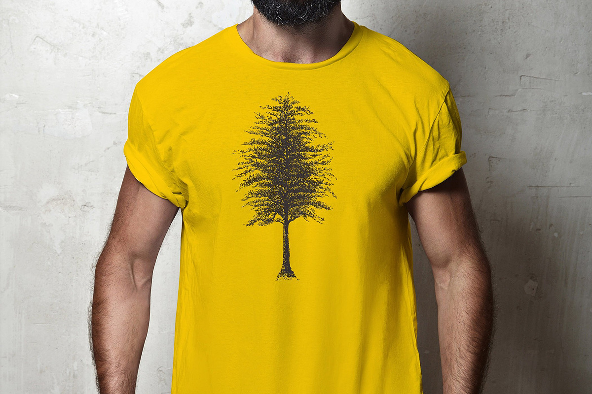 37 Vintage Tree Illustrations, an Object Graphic by AndrewPixel (Photo 8 of 8)