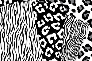 Black And White Animal Prints