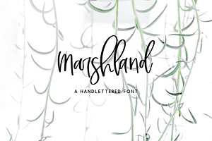 Marshland Script