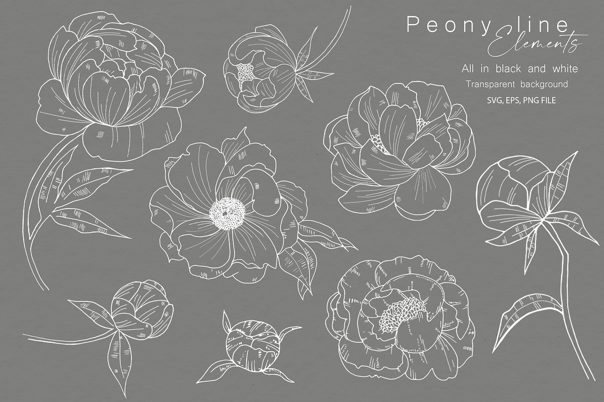 Peony Line Illustration - Flower Art, an Illustration by Ooh Lily (Photo 8 of 12)