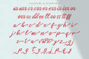 Rugani Payne - Textured Brush Font, a Script Font by StringLabs (Thumbnail 11 of 12)