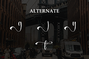 Washington | Script Font, a Handwritten Font by Scratchones (Thumbnail 8 of 9)