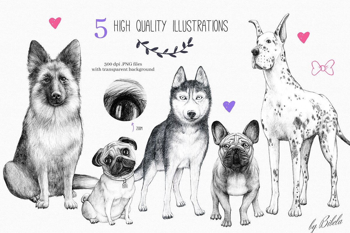 Who Let The Dogs Out?, an Illustration by Bibela (Photo 3 of 8)