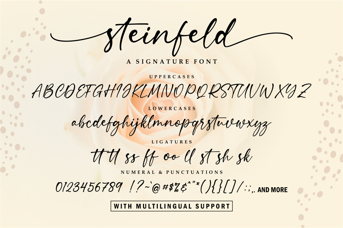 Steinfeld a Handwritten Font, a Script Font by Vilogsign (Photo 10 of 11)