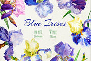 Blue Irises. Watercolor Clip Art, a Decorative Illustration by Nataliapiache (Thumbnail 1 of 2)