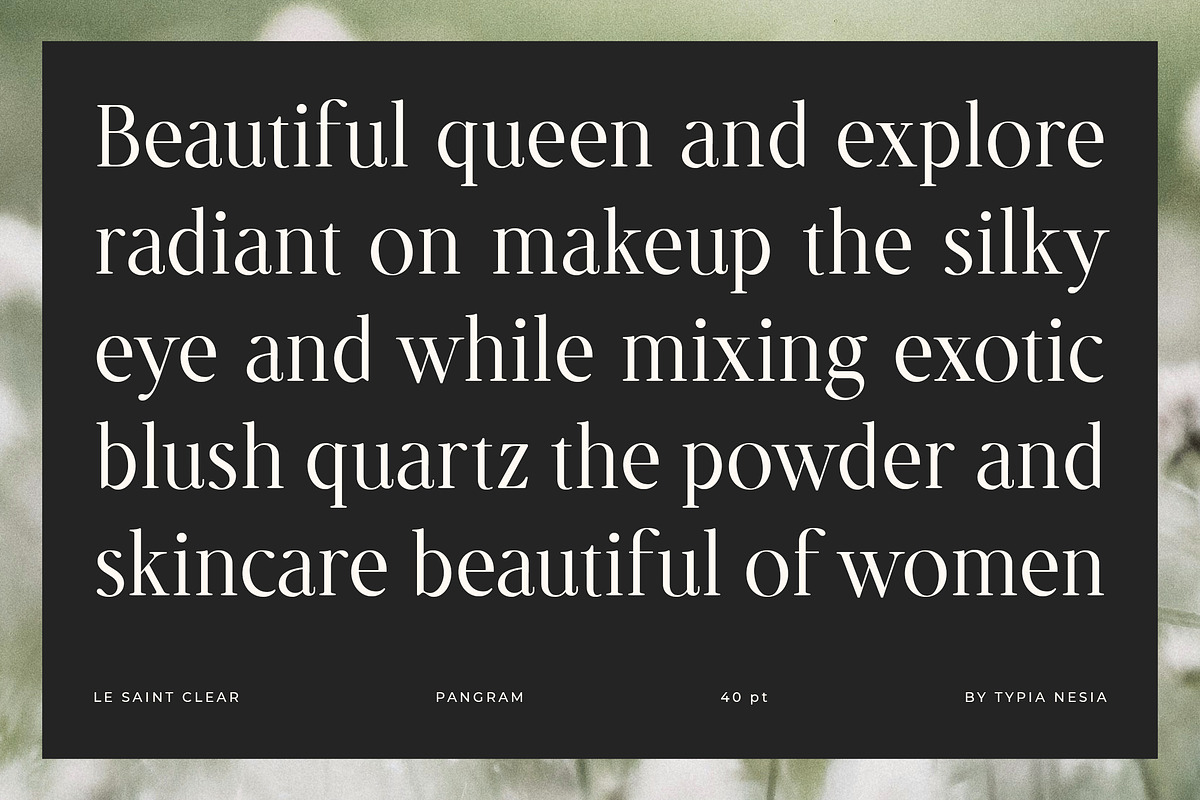 Le Saint Clair - Beauty Nostalgic, a Serif Font by Typia Nesia (Photo 5 of 12)