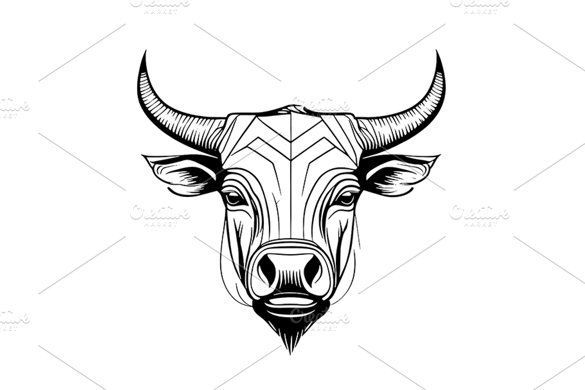 Bull vector logo 5, a Branding & Logo Template by AyyazMomin (Photo 4 of 6)