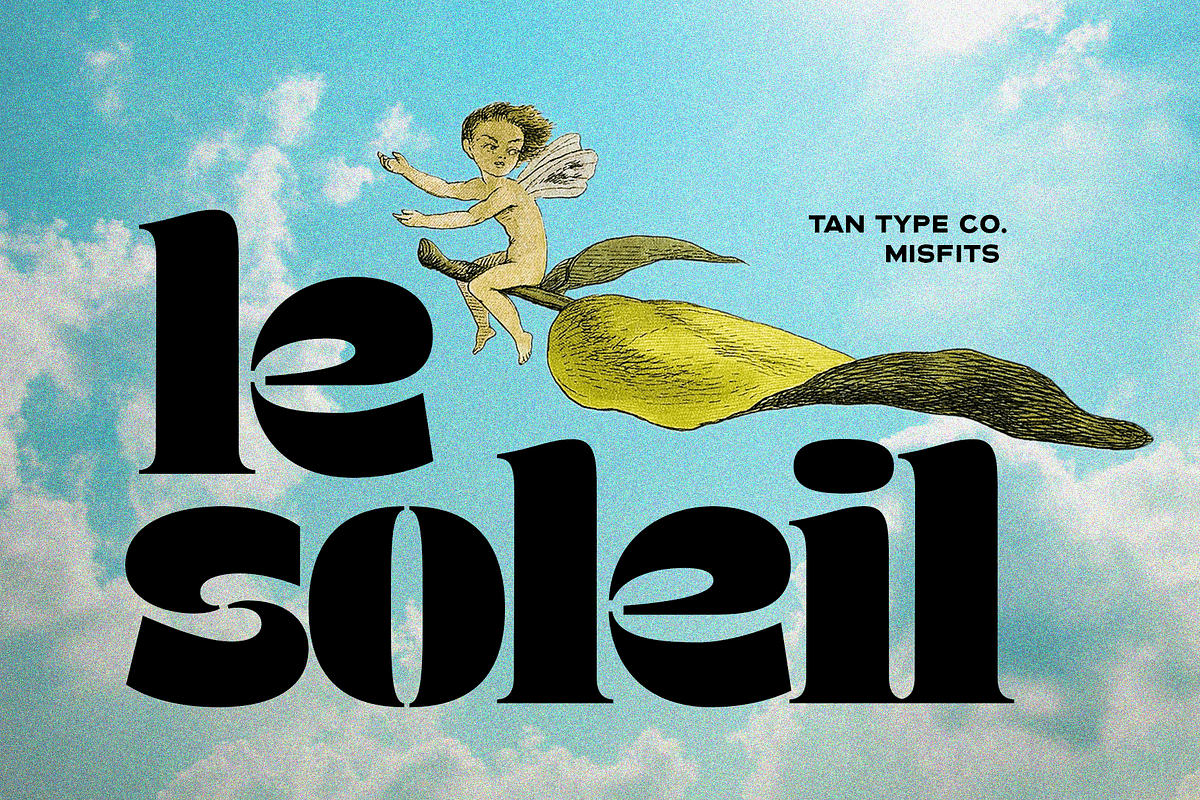 TAN - MISFITS, a Font by TanType (Photo 12 of 15)