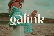 galink Modern Ligature Serif, a Serif Font by Humaira_std (Thumbnail 1 of 10)