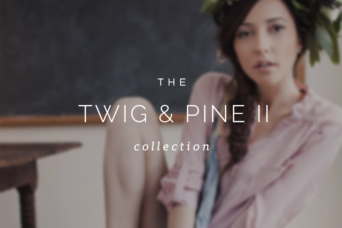 Twig & Pine II ProPhoto 7 Collection, a Websites & App Template by Red Met Yellow Creative (Photo 1 of 15)