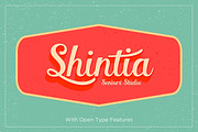 Font Collection | 33 Fonts, a Script Font by Seniors (Thumbnail 60 of 66)