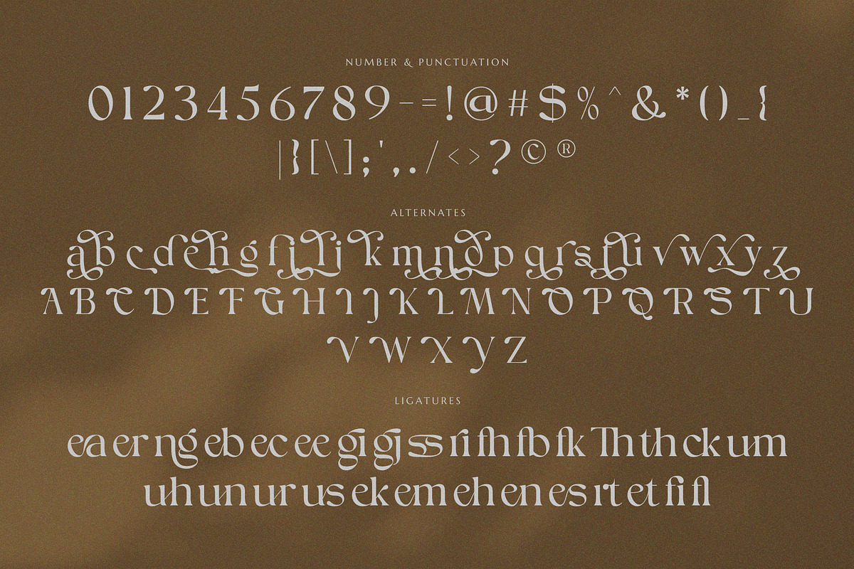 Ginger Bread, a Serif Font by ToniStudio (Photo 7 of 10)