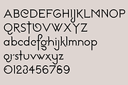 Anthropology. Modern serif font, a Serif Font by LostandFoundry (Thumbnail 5 of 7)