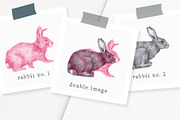 Hand drawn Rabbits Illustrations, an Animal Illustration by Greek fonts by nantia.co (Thumbnail 3 of 6)