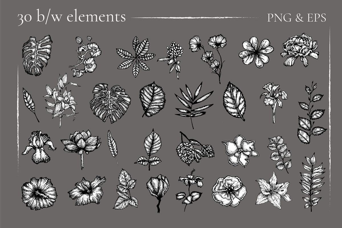 Digital Vintage Flowers, a Decorative Illustration by Onceli*art (Photo 3 of 14)