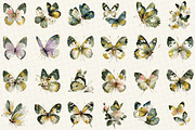 Watercolor Pastel Butterfly Clipart, an Illustration by DreamCafeArt (Thumbnail 2 of 6)