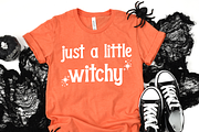 Sanderson Display Font, a Serif Font by Beck McCormick (Thumbnail 2 of 10)