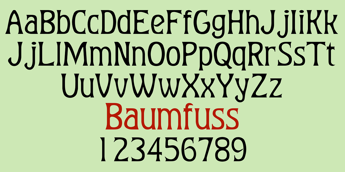 Baumfuss, a Serif Font by Ingrimayne Type (Photo 3 of 7)