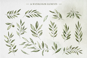 Olive Branches