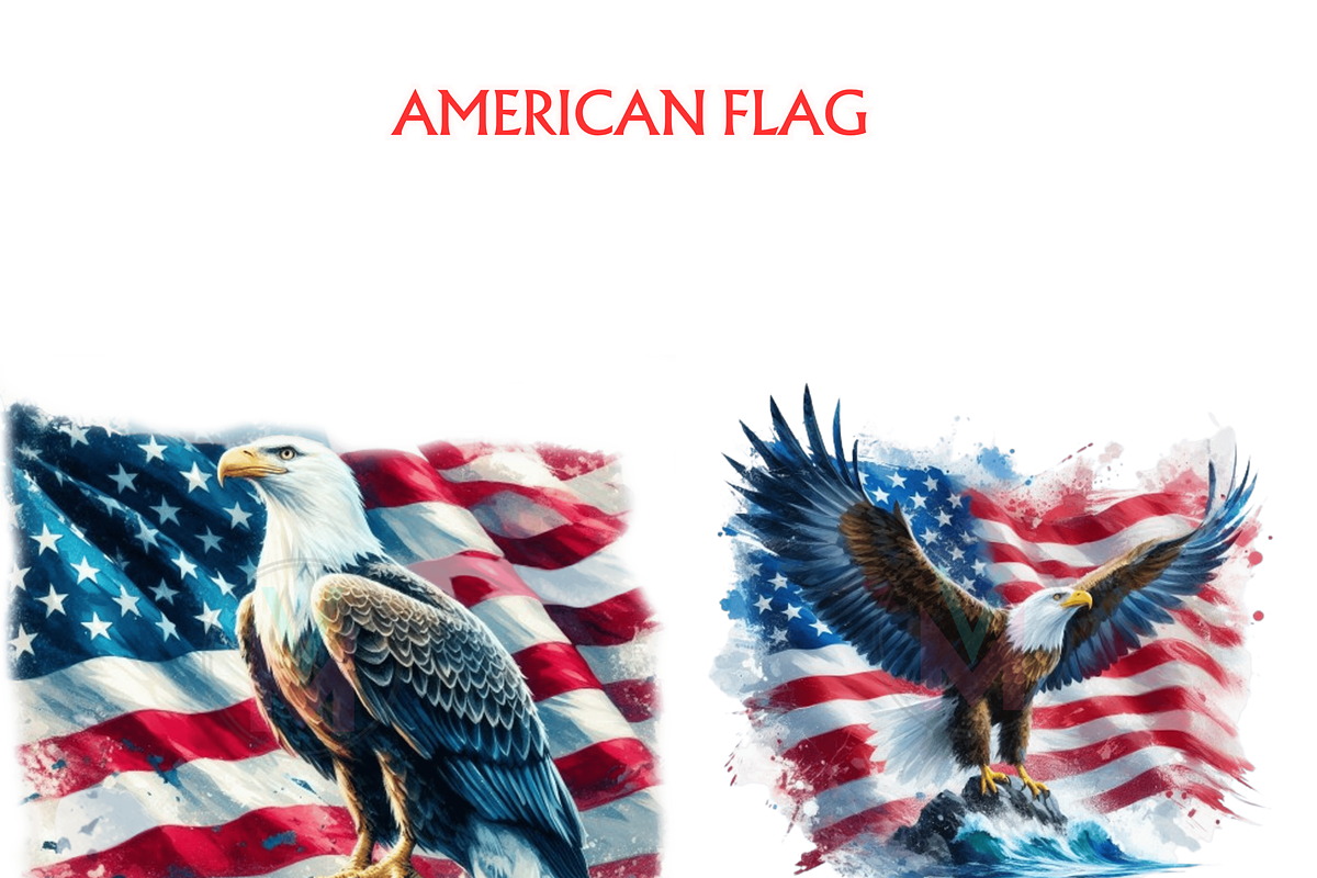 American Flag Clipart Bundle, USA, a Seasonal Illustration by VM PARTYS  BY TAIRUMA (Photo 3 of 10)