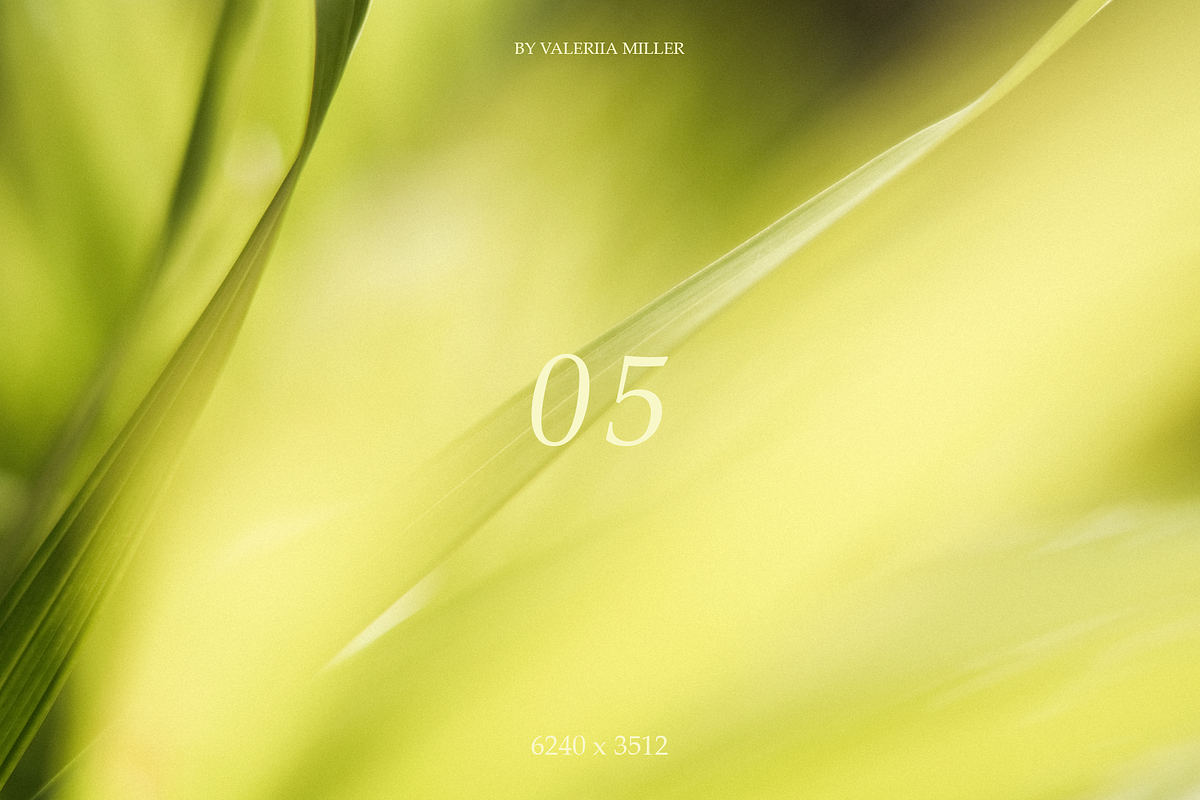 10 NATURAL BACKGROUNDS, a Background Photo by Valeriia Miller (Photo 6 of 11)