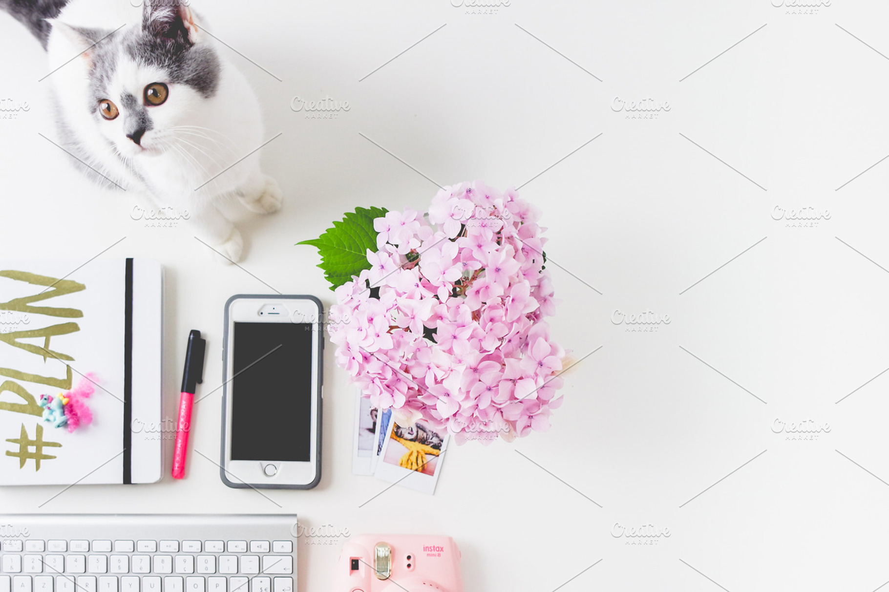 Flatlay Feminine desk Kitten-Flower, a Beauty & Fashion Photo by very simple photos