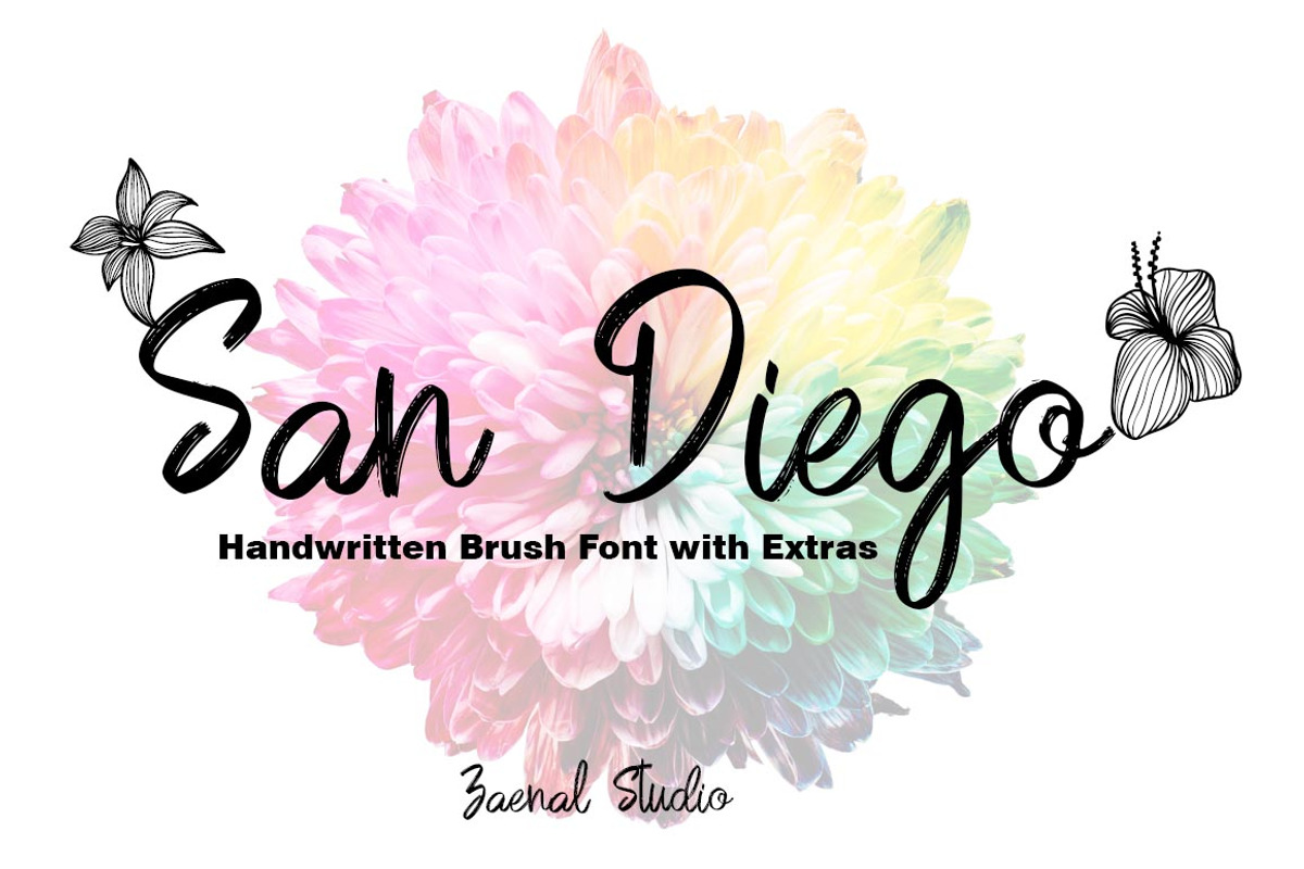 San Diego, a Script Font by Zaenal Studio (Photo 1 of 13)