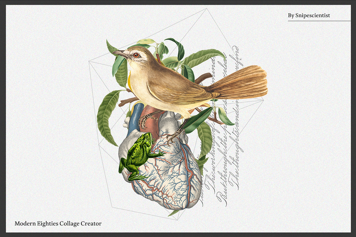 BlackSale! Collage Master Collection, an Object Graphic by SNIPESCIENTIST (Photo 66 of 94)