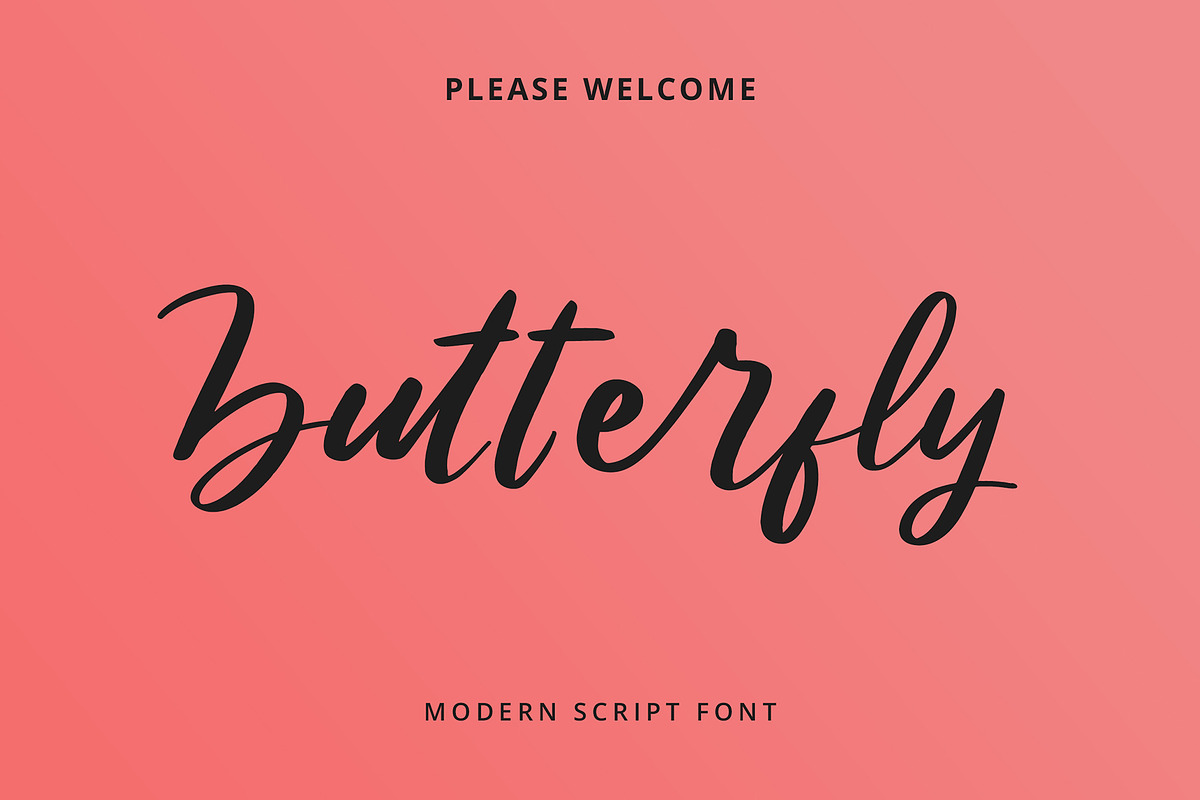 Butterfly Modern Script Font preview 4