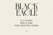 BLACK EAGLE - Modern Display Serif, a Serif Font by Mikhail Fukurou (Thumbnail 2 of 8)