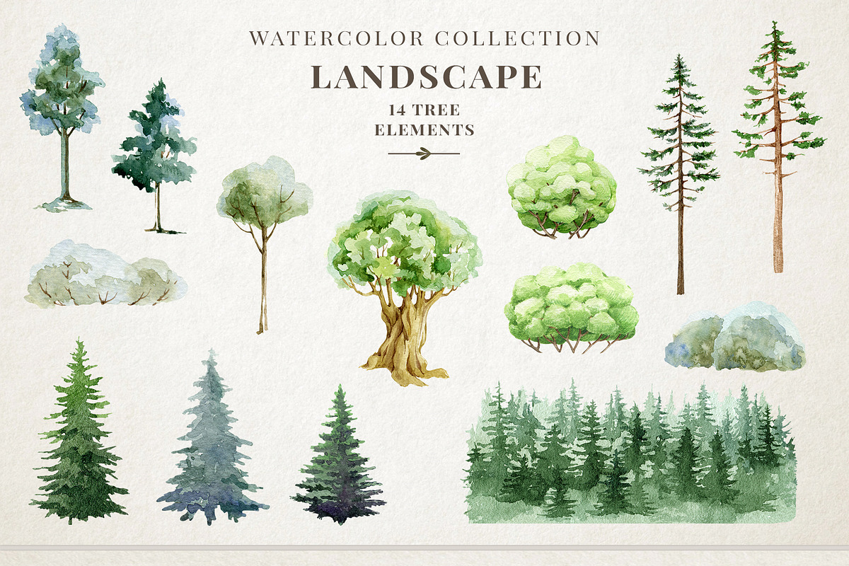 Woodland Animals Watercolor Clipart, an Animal Illustration by AnitaPol (Photo 12 of 17)