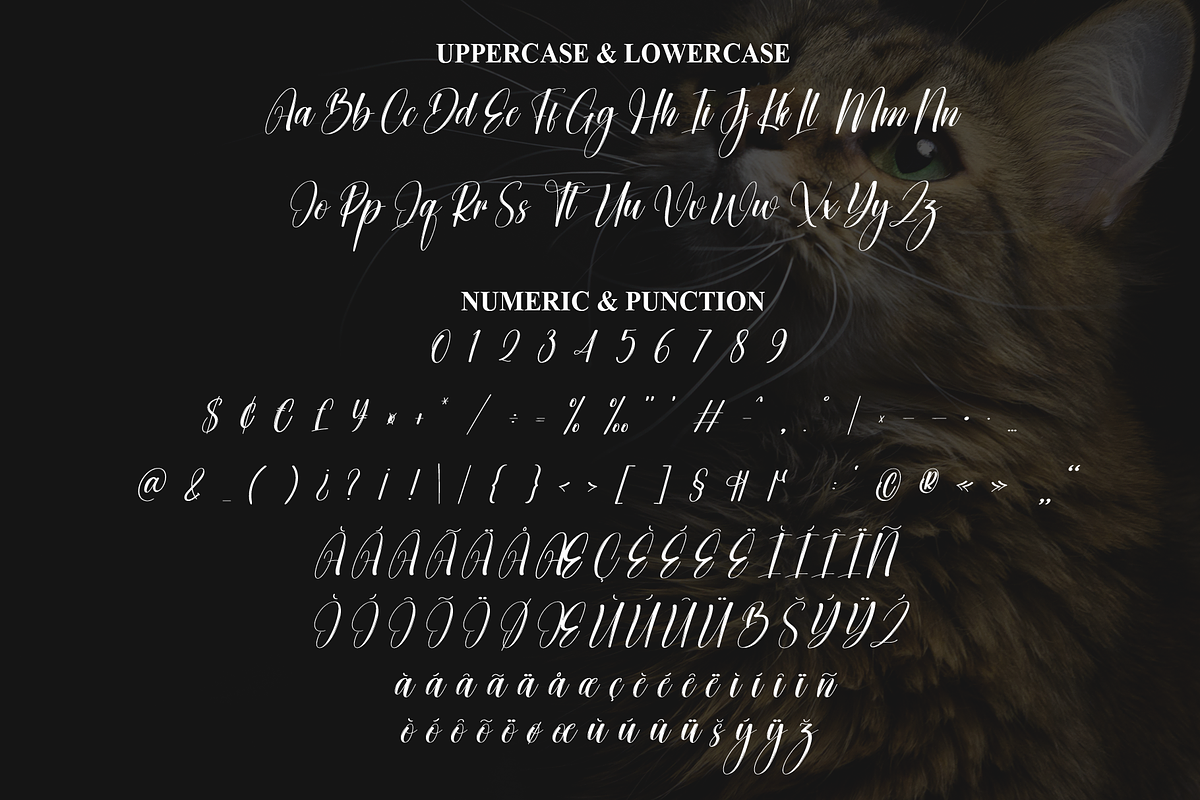 Creature | Script Font, a Blackletter Font by Scratchones (Photo 7 of 9)