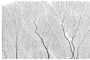 Growth - 50 Backgrounds, a Texture Graphic by GarryKillian (Thumbnail 45 of 51)