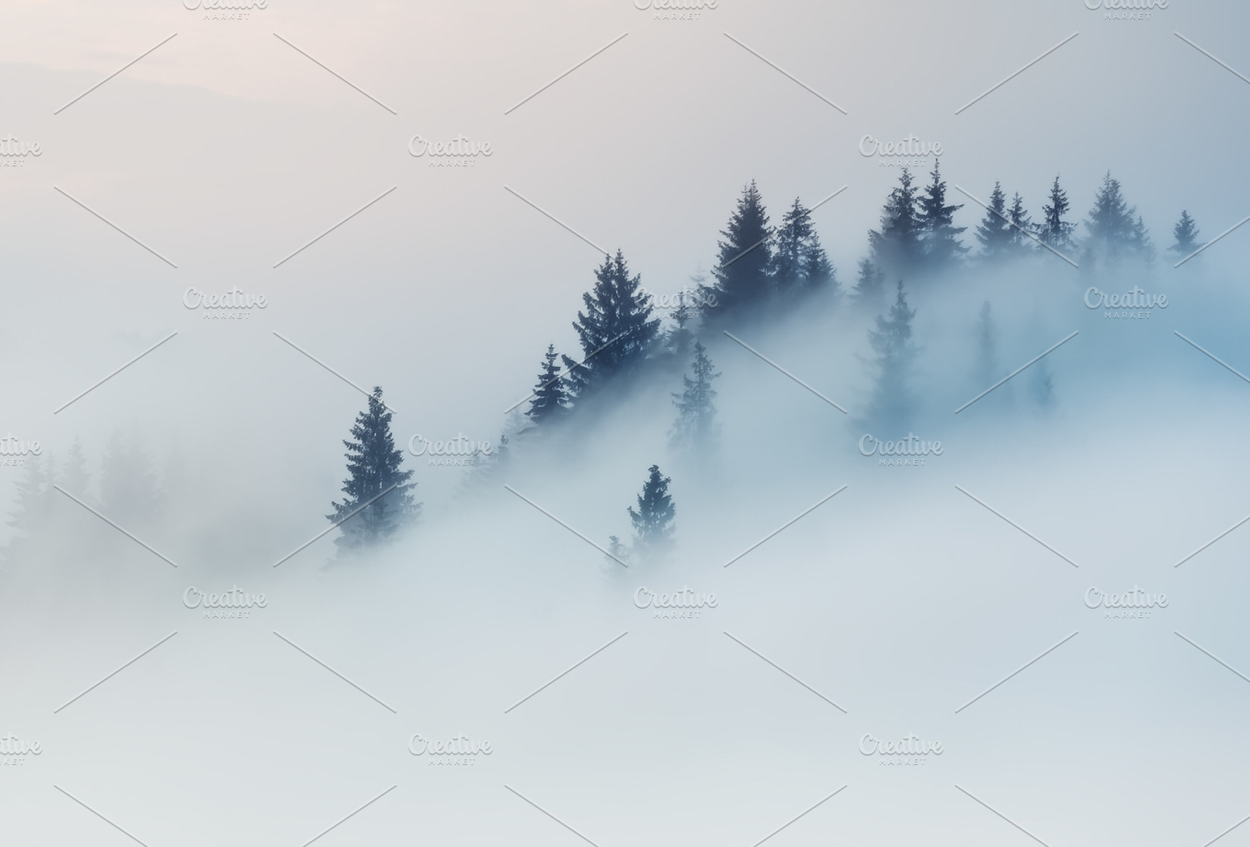 Mount smoke web featuring ukraine, carpathian, and dzembronya, a Nature Photo by naumenkophotographer