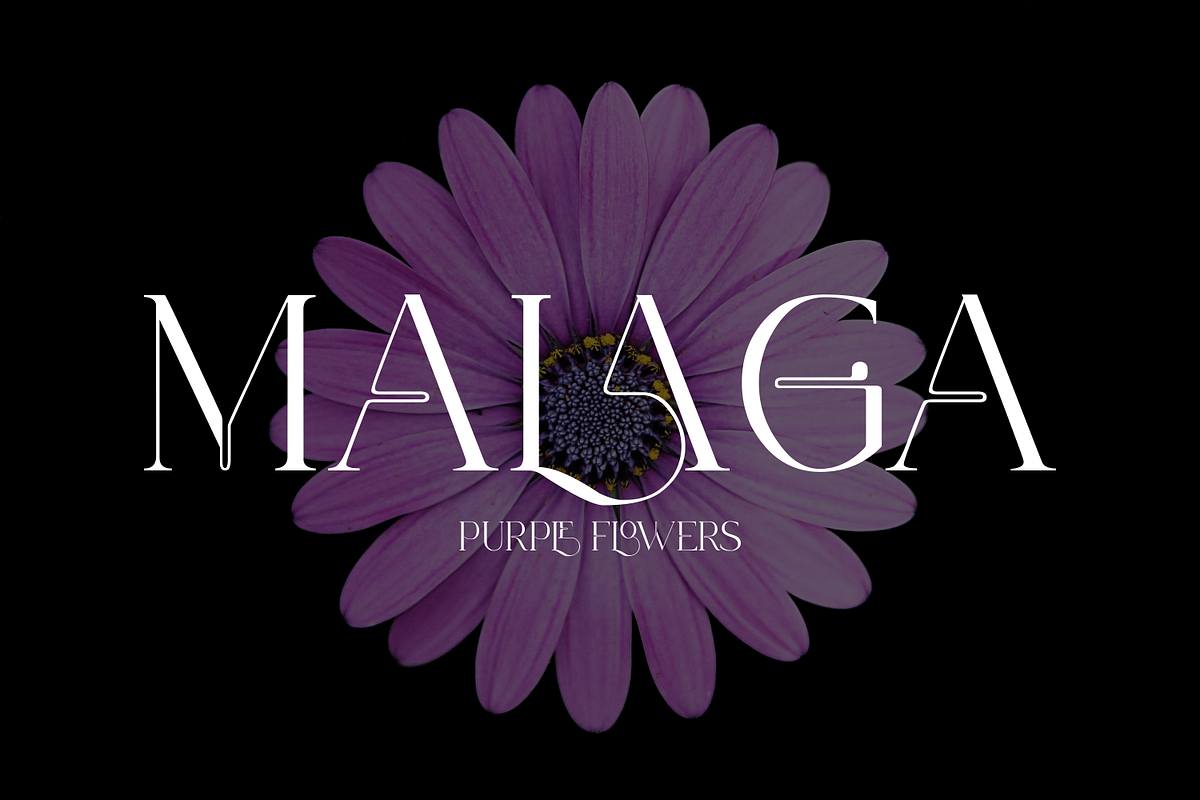 KINERA, a Serif Font by zamjumps (Photo 2 of 11)