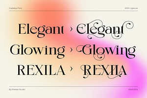 Castelya - Classic Luxury Serif Font