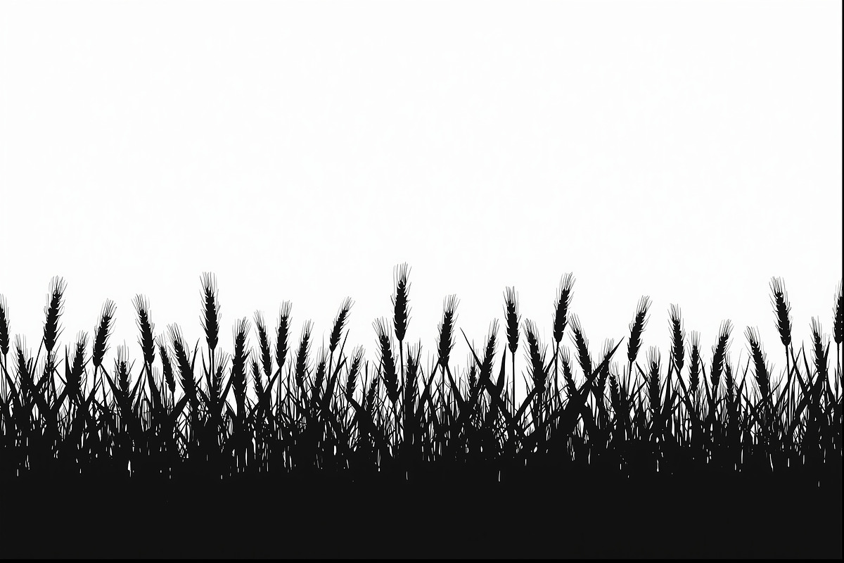 Wheat Field Border Bundle, an Illustration by Designs_River (Photo 3 of 9)