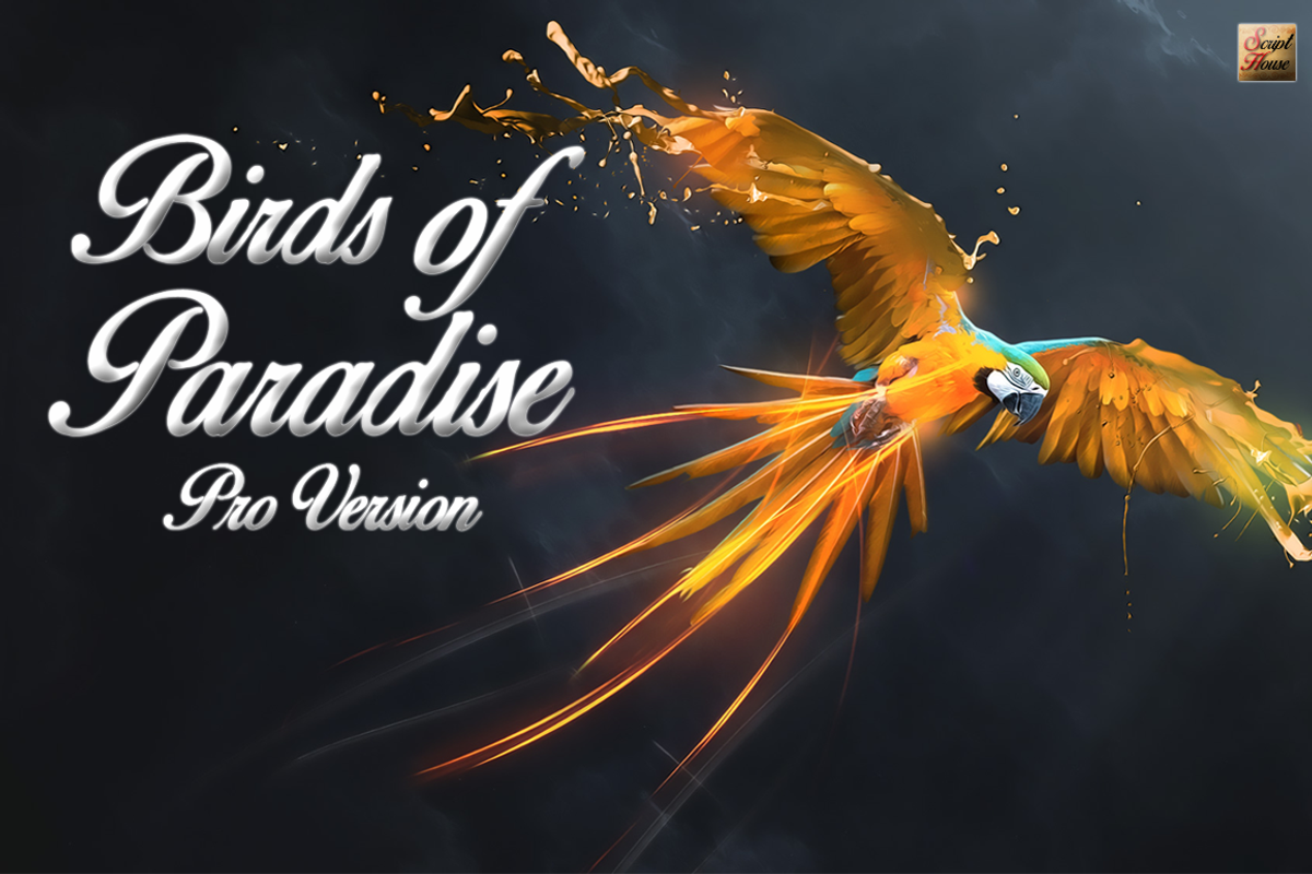 Birds of Paradise © preview 3