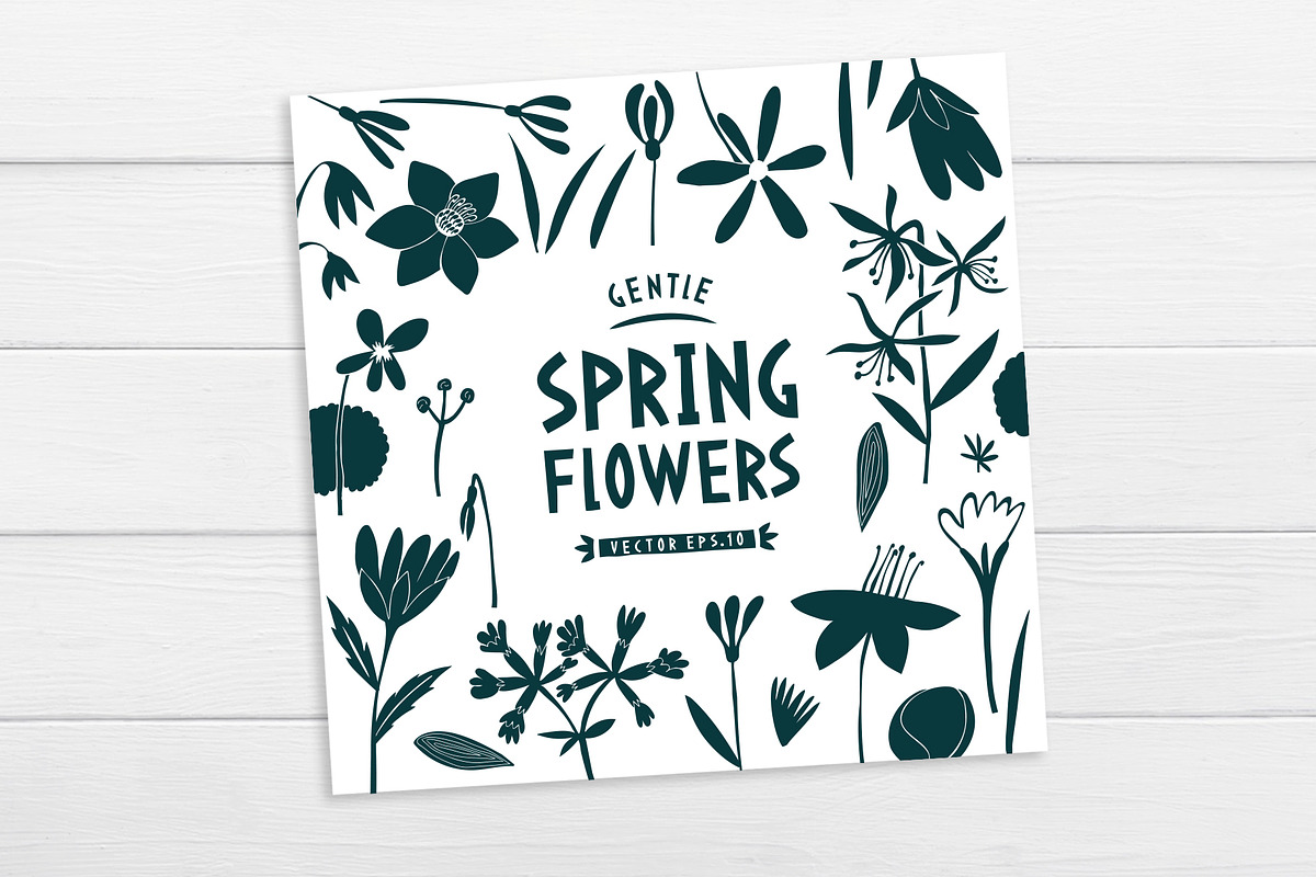 Spring Flowers Vector Collection, an Illustration by Lubov Illustrations Shop (Photo 4 of 6)