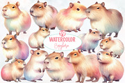 Watercolor Capybara clipart, an Illustration by Designworld (Thumbnail 1 of 5)